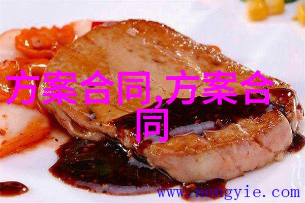 自建房装饰装修合同书